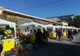 Vasluiul găzduiește o nouă ediție a Zilelor Recoltei
