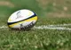 Lecție de rugby oferită de RC Bârlad: 91 la 0, în confruntarea cu CS UAV Arad