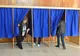 Aproape 140.000 de vasluieni au votat până la ora 18