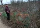 SCENE VIOLENTE! Un bârlădean filmat cu o furcă în mână și cu doi câini care „rupeau” un maidanez - VIDEO