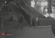 VIDEO - Mai mulți tineri din Bârlad sunt căutați pentru acte de vandalism