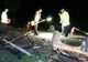 Accident rutier grav în comuna Oltenești: un căruțaș și calul acestuia au murit pe loc