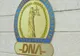 Concluzie DNA, cu referire la acte false: „Ulterior, fără vinovăție, reprezentanții CJ Vaslui ar fi depus aceste documente...”!