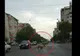 Căprioară ajunsă pe străzile din Bârlad - VIDEO
