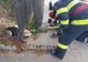 Câine salvat de pompieri după ce a rămas blocat într-un gard