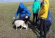 VIDEO EMOȚIONANT: Un câine căzut într-o fosă, salvat de spiritul de observație a doi copii  
