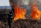 Incendiu de vegetație uscată la marginea Bârladului
