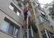 Pui de pisică salvat de pompierii bârlădeni 