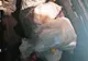 Hoți puși paznici la porumb! Mai mult decât atât, aceștia era pregătiți să împuște căpriori