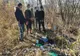 Trei călăuze şi cinci cetăţeni sirieni depistaţi ca urmare a cooperării dintre poliţiştii de frontieră vasluieni şi omologii din Republica Moldova