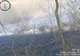 Incendiu de vegetație uscată  la Fântânele