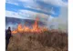 Pompierii și peste 35 de localnici au luptat șase ore cu un incendiu, pentru a salva 25 de locuințe și sute de animale