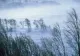 Meteo: Ninsori moderate cantitativ şi strat nou de zăpadă, începând de miercuri