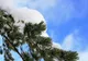 Prognoza meteo: Se anunță ninsori până miercuri