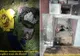 UPDATE - VIDEO. Fetița în vârstă de 3 ani, a murit la spital