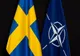 Suedia. Decizie istorică a partidului de guvernământ de a susține candidatura țării pentru aderarea la NATO