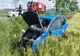 Accident rutier la Miclești. Șoferul, aruncat din mașină pe câmp