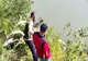 Migrant turc şi două călăuze, cercetaţi penal de poliţiştii de frontieră vasluieni