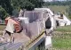 La un pas de dezastru - Podurile din România care stau să cadă