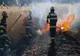 UPDATE - ALERTĂ ROȘIE! Incendiu de vegetație uscată în zona Sohodău din Bârlad