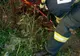 Câine blocat într-un gard, salvat de pompierii vasluieni
