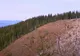 Austria, afaceri și profituri uriașe din lemnul românesc - Amploarea defrișărilor este uriașă: 6 hectare de pădure dispar în fiecare oră