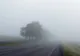 Atenționare meteo: cod galben de ceață în 18 județe ale țării