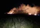 Arde vegetația uscată de la marginea orașului Murgeni