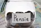 Ce pensie vei primi la bătrânețe, în funcție de salariul actual. Simulări de calcul