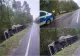 TIR ÎNCĂRCAT CU PUI, RĂSTURNAT PE DN 24, ÎN JUDEȚUL VASLUI. ȘOFERUL A FUGIT DE LA LOCUL ACCIDENTULUI 