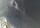 Moarte cumplită pentru o bătrână din Vaslui