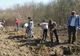 Direcția Silvică Vaslui a dat startul "Lunii Plantării Arborilor"
