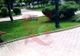 Aleile parcului „V.I. Popa” din Bârlad, acoperite cu dale