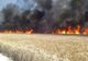 Lan de grâu cuprins de flăcări în comuna Banca - VIDEO