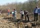 20 de hectare de teren, pregătite pentru împădurire la Vaslui