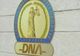 Concluzie DNA, cu referire la acte false: „Ulterior, fără vinovăție, reprezentanții CJ Vaslui ar fi depus aceste documente...”!