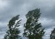   Alertă meteo: Cod galben de VÂNT, temperaturile scad accentuat