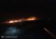 Incendiu de vegetație în comuna Stănilești - VIDEO