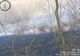 Incendiu de vegetație uscată  la Fântânele