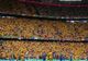 EURO 2024: "Cod galben" de suporteri români, la meciul contra Olandei
